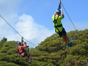 zipline course at Hemlock Overlook Regional Park